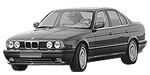 BMW E34 P260E Fault Code